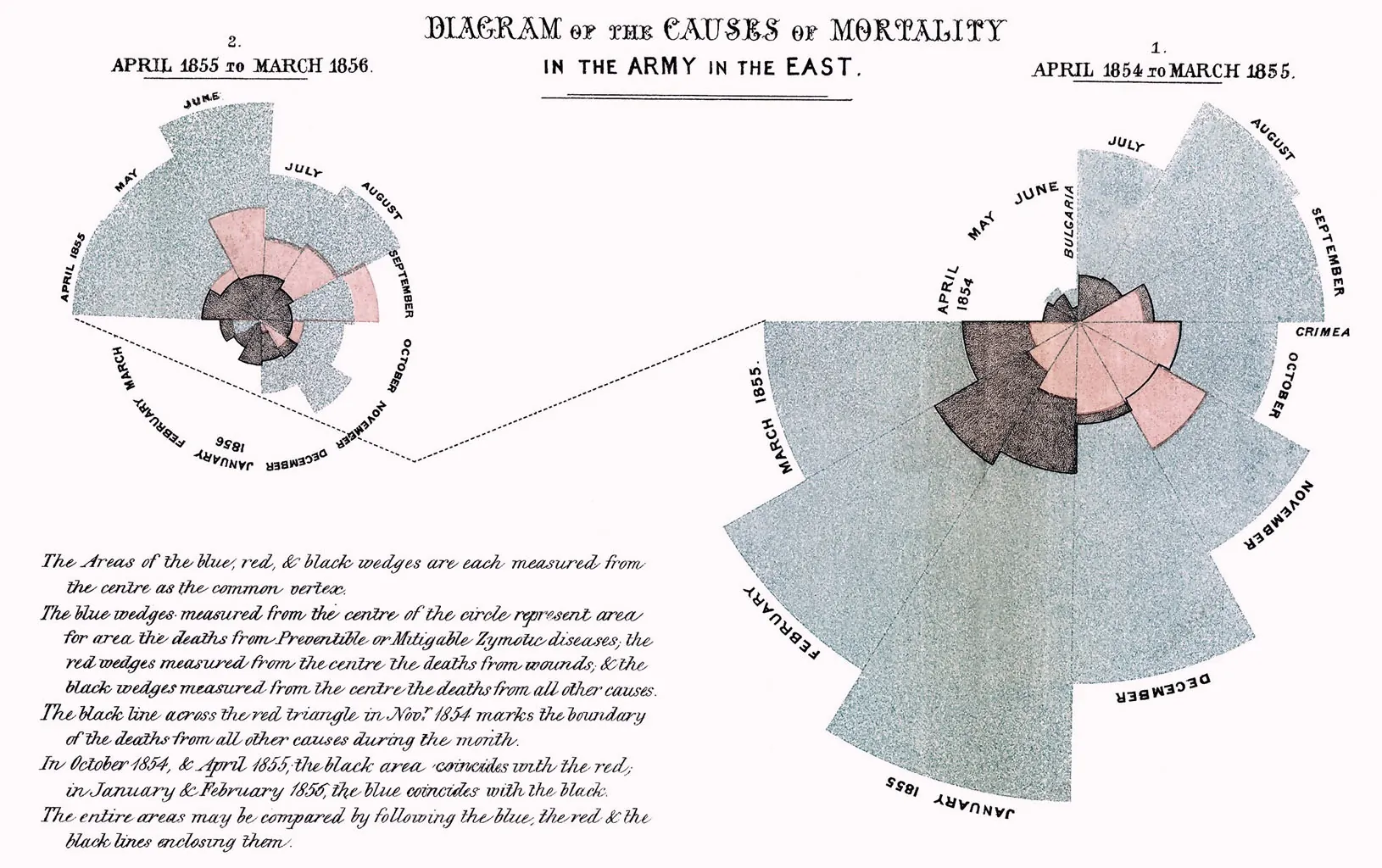 Florence Nightingale's Rose Chart