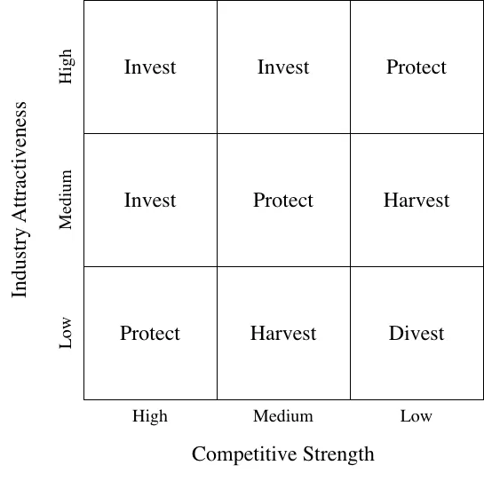 GE-McKinsey Nine Box Matrix